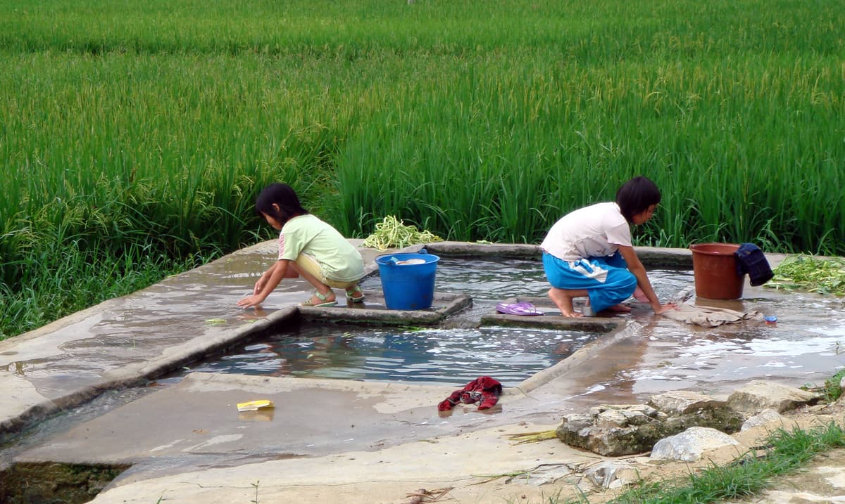 DSC02763-1024x612.jpg?resize=660%2C394