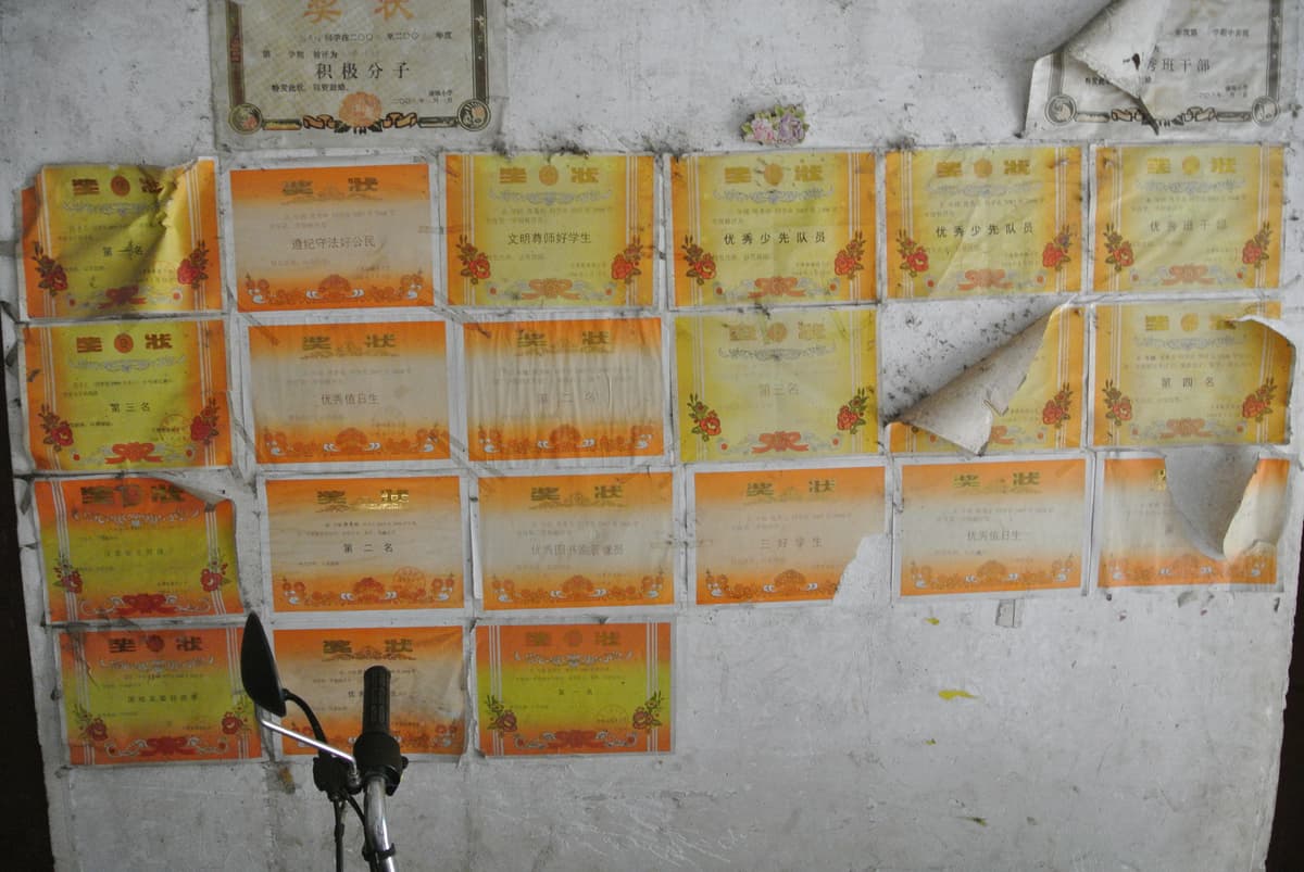 DSC_8500-1024x685.jpg?resize=660%2C441